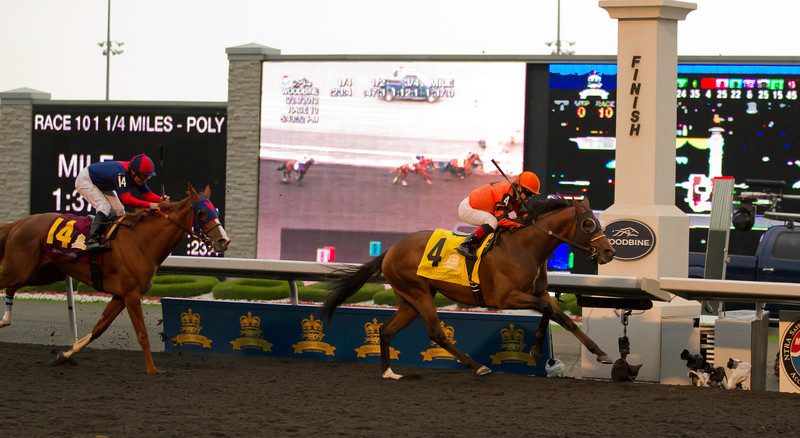 Jockey Justin Stein leads Strait of Dover over the finish line ahead of Irish Mission to capture the 153rd Queen's Plate at Woodbine Racetrack on Sunday (JP Dhanoa)